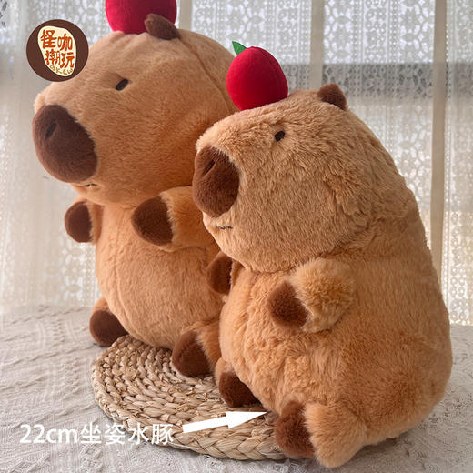 怪咖潮玩22cm坐姿水豚小号毛绒玩具154859344 商品图0