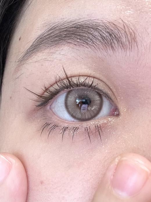 Doragina半年抛-Hadi Brown苏黎浅驼 商品图10