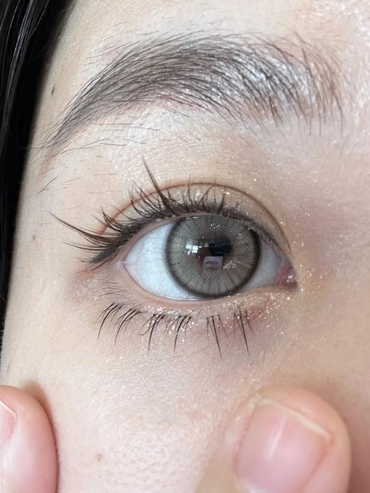 Doragina半年抛-Hadi Hazel 北岛银光 商品图6