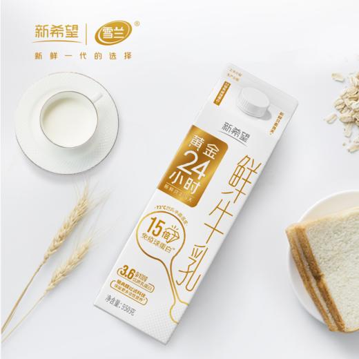 【雪兰订奶到家】黄金24小时鲜牛乳 | 屋顶盒 950g 配送上门 商品图2