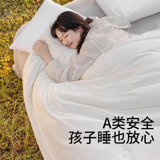 佳丽斯二合一蚕丝大豆子母被加厚保暖被芯四季通用 商品图3