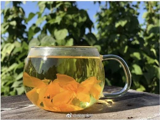 野生金莲花茶 15克 / 来自大兴安岭草甸子的金莲花 / 味道纯正 /合作 商品图3