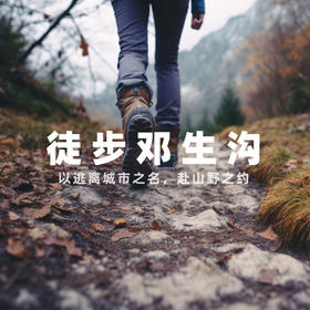 【拼包车出行 | 自由安排   | 邓生沟一日游直通车】林深雪美无高反，大熊猫的后花园——邓生沟