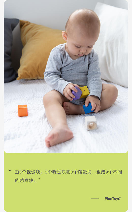 【泰国】PlanToys 进口木质玩具 益智美学 商品图0