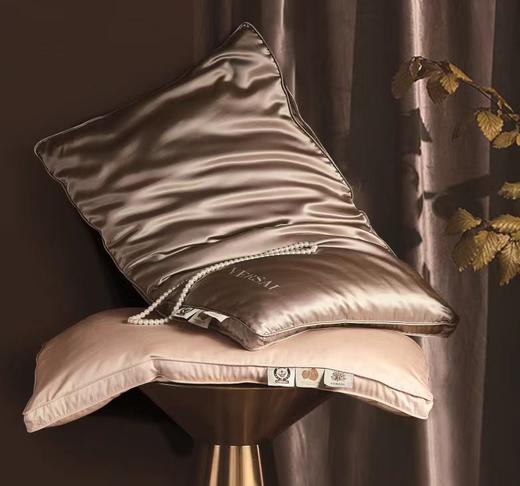 【6F】富安娜 云绫纱蚕丝夹心枕/诺里斯，74*48，浅咖 商品图0