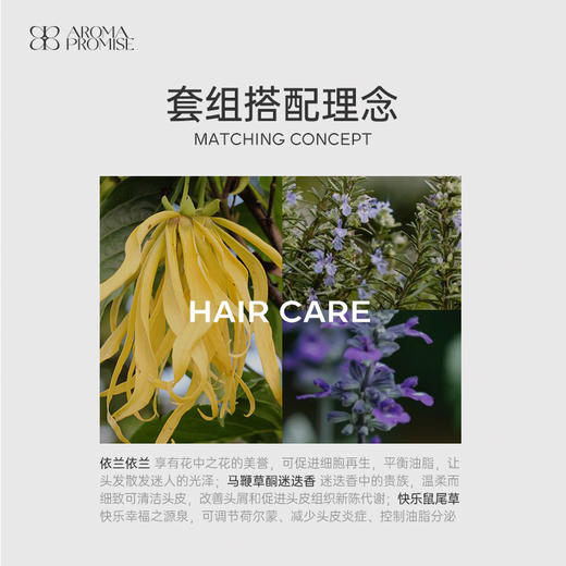 Aroma Promise头发保养套组 商品图1