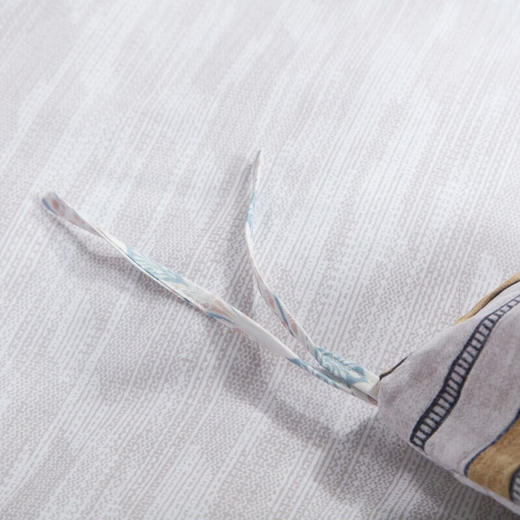 富安娜（FUANNA）莫格利纯棉四件套203*229cm 商品图6