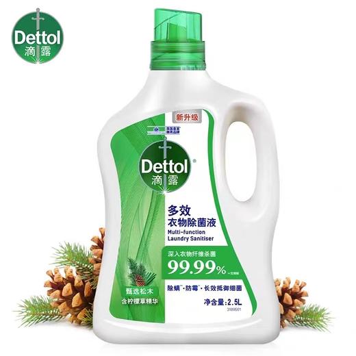 滴露衣物除菌液松木2.5L+1L 商品图0