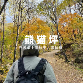 【拼包车出行 | 自由安排  】熊猫坪直通车|天然草甸牧场、看那汪卧龙之眼