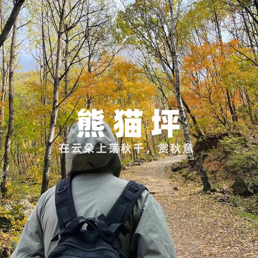 【拼包车出行 | 自由安排  】熊猫坪直通车|天然草甸牧场、看那汪卧龙之眼 商品图0