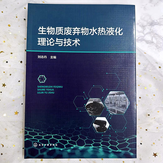 生物质废弃物水热液化理论与技术 商品图2