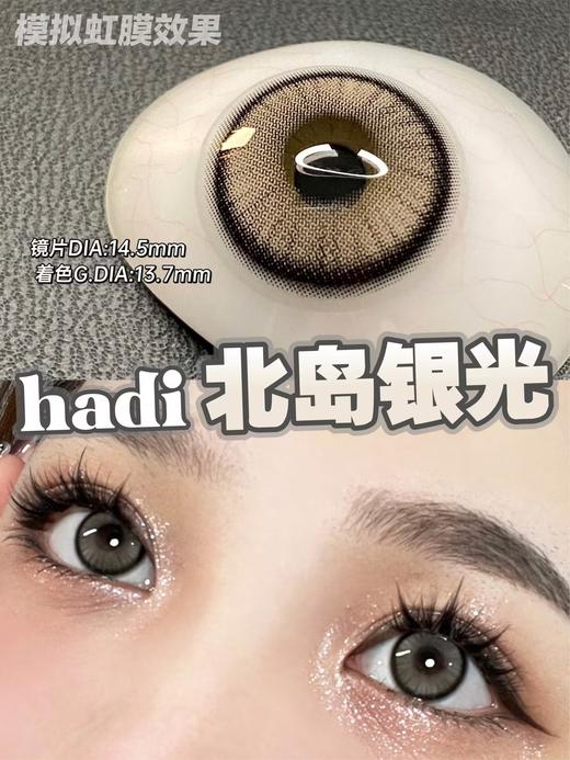 Doragina半年抛-Hadi Hazel 北岛银光 商品图11