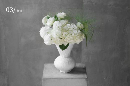 永恒之花  Amarantine 商品图3