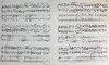 【中商原版】亨乐原版 勃拉姆斯 降B大调第二协奏曲op83 双钢琴 带指法 Brahms Piano Concerto no.2 in B flat major op.83 HN1231 进口艺术 商品缩略图6