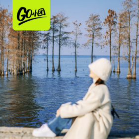 蔚蓝洱海丨大理·环洱海深度一日游【go小团】