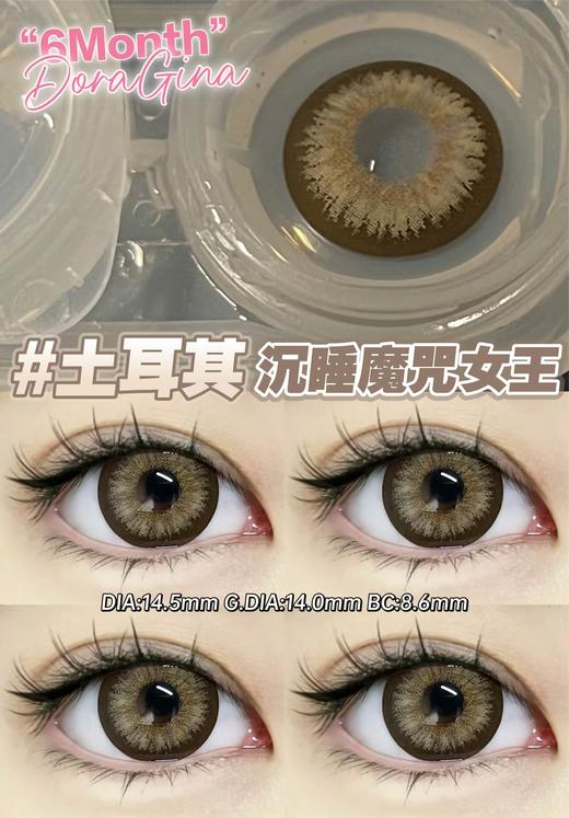 Doragina半年抛-Kiro Brown土耳其 商品图3