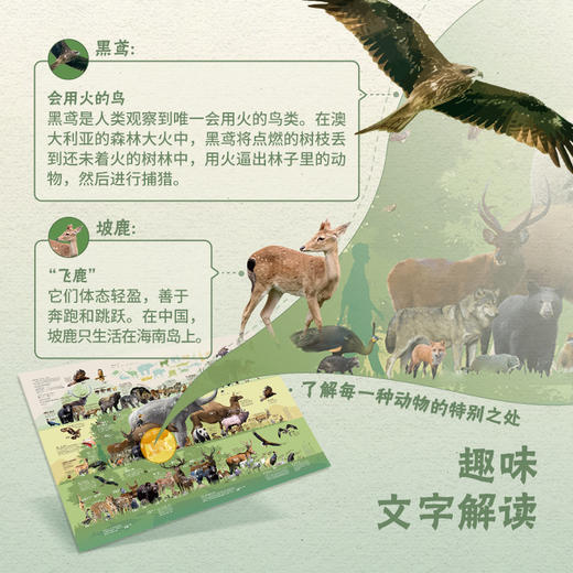 《动物地图》 商品图3