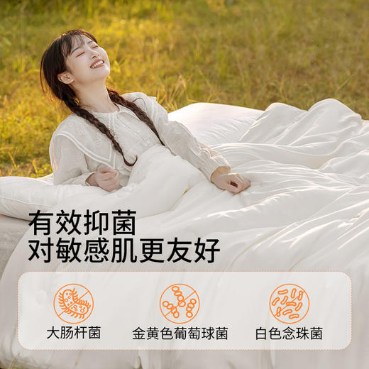 佳丽斯二合一蚕丝大豆子母被加厚保暖被芯四季通用 商品图4