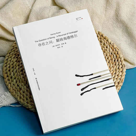 存在之问 颠转海德格尔 虚无主义批判译丛 斯坦利·罗森 哲学 商品图2