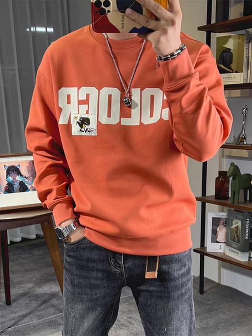 男圆领卫衣7950 商品图3