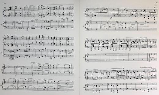 【中商原版】亨乐原版 勃拉姆斯 降B大调第二协奏曲op83 双钢琴 带指法 Brahms Piano Concerto no.2 in B flat major op.83 HN1231 进口艺术 商品图5