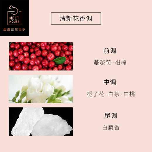 胭栀茶白 商品图3