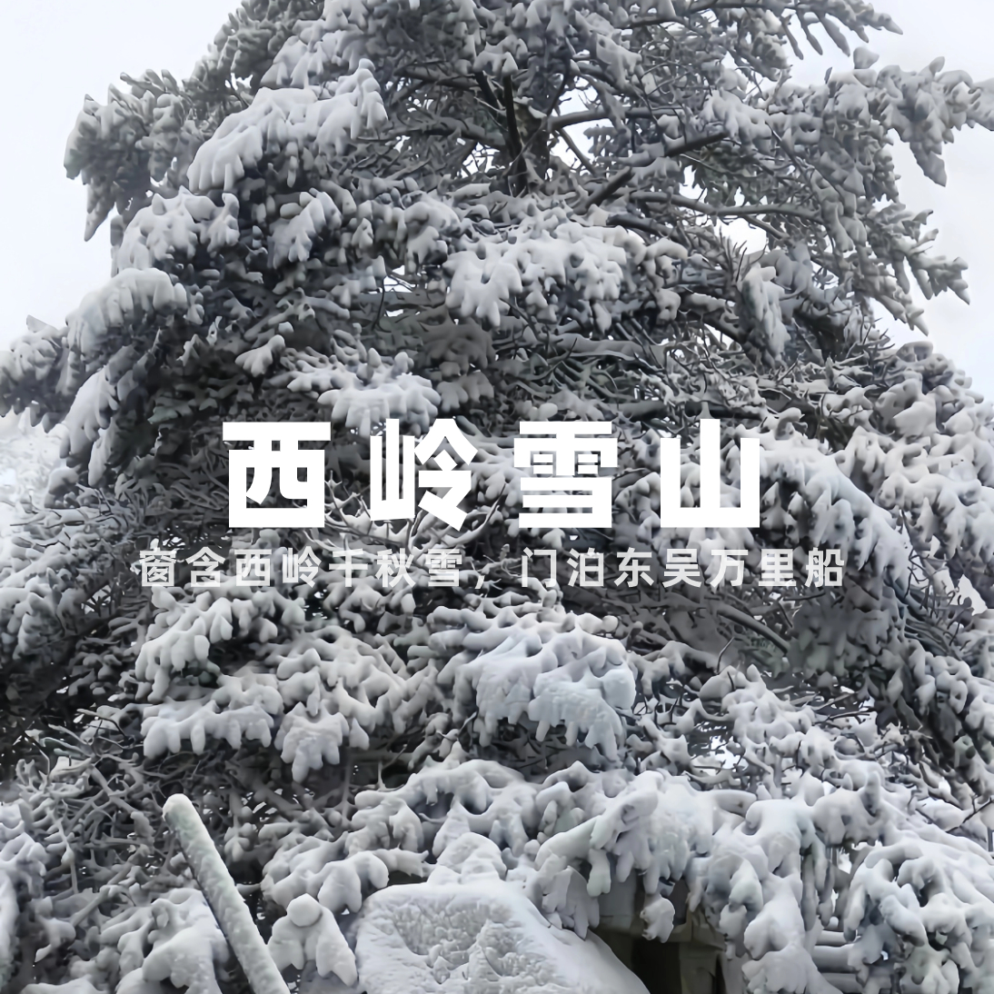 【票务代理】西岭雪山风景区第二段索道票（日月坪索道）