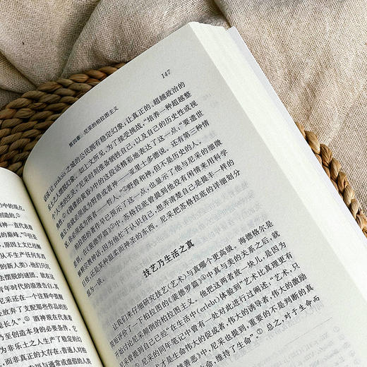 存在之问 颠转海德格尔 虚无主义批判译丛 斯坦利·罗森 哲学 商品图9