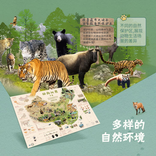 《动物地图》 商品图1