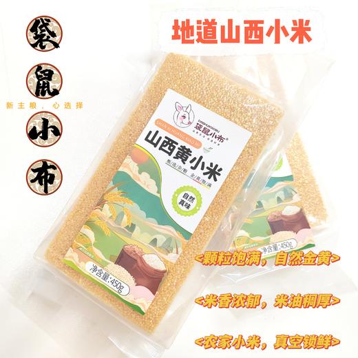 【优选杂粮】袋鼠小布山西黄小米 商品图0