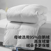 佳丽斯蚕丝羽绒二合一子母被95白鹅绒被子冬被蚕丝被拉链款 商品缩略图2