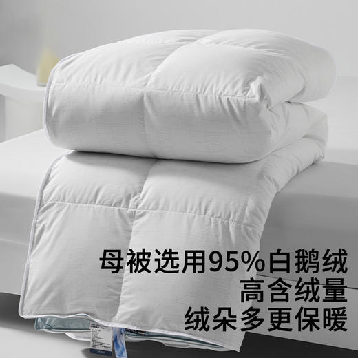 佳丽斯蚕丝羽绒二合一子母被95白鹅绒被子冬被蚕丝被拉链款 商品图2