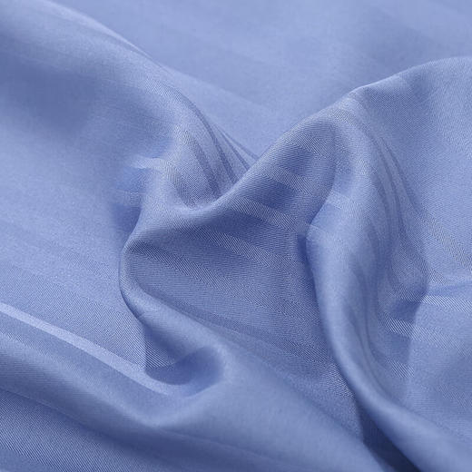 富安娜（FUANNA）床上用品磨毛被套素提床单四件套-博兰格/蓝 商品图5