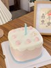 【生日蛋糕】ins风 商品缩略图0