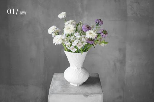 永恒之花  Amarantine 商品图1