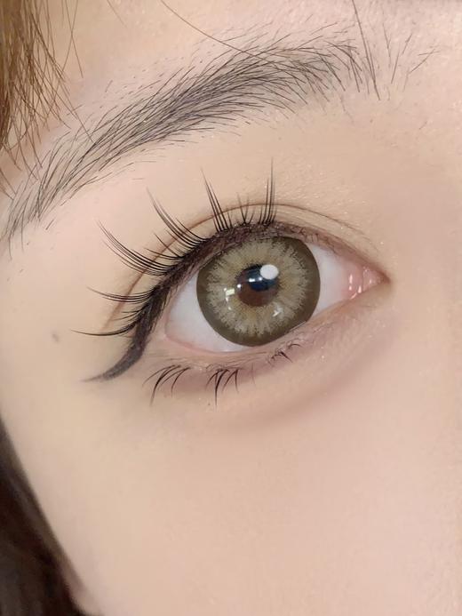 Doragina半年抛-Kiro Brown土耳其 商品图4