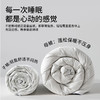 佳丽斯蚕丝羽绒二合一子母被95白鹅绒被子冬被蚕丝被拉链款 商品缩略图7