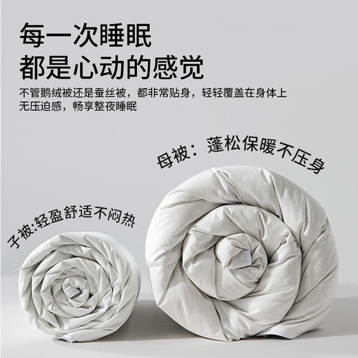 佳丽斯蚕丝羽绒二合一子母被95白鹅绒被子冬被蚕丝被拉链款 商品图7
