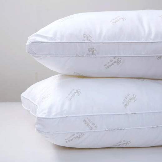 富安娜（FUANNA）净呼吸七孔防螨枕头 74*48cm 商品图3