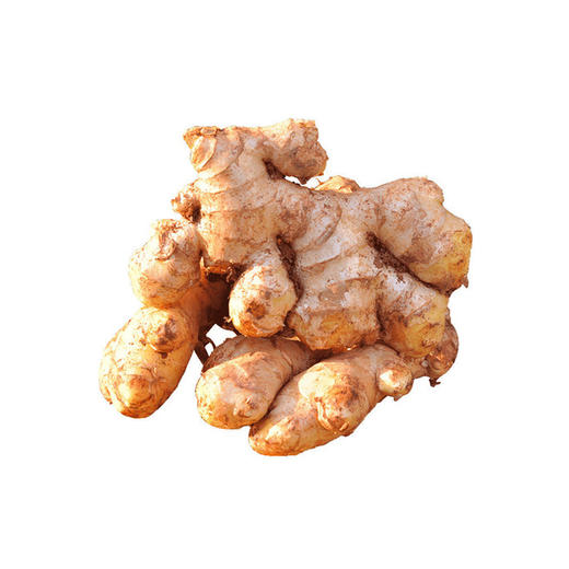 【自营】云南小黄姜 200g±10g  生态种植 商品图0