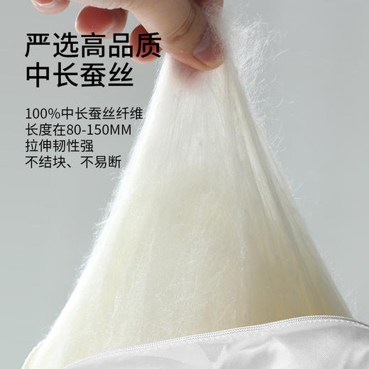 佳丽斯被子蚕丝被春秋被空调被夏季四季通用结婚被芯子母被二合一 商品图4