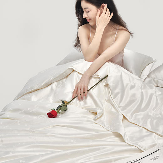 佳丽斯被子蚕丝被春秋被空调被夏季四季通用结婚被芯子母被二合一 商品图7