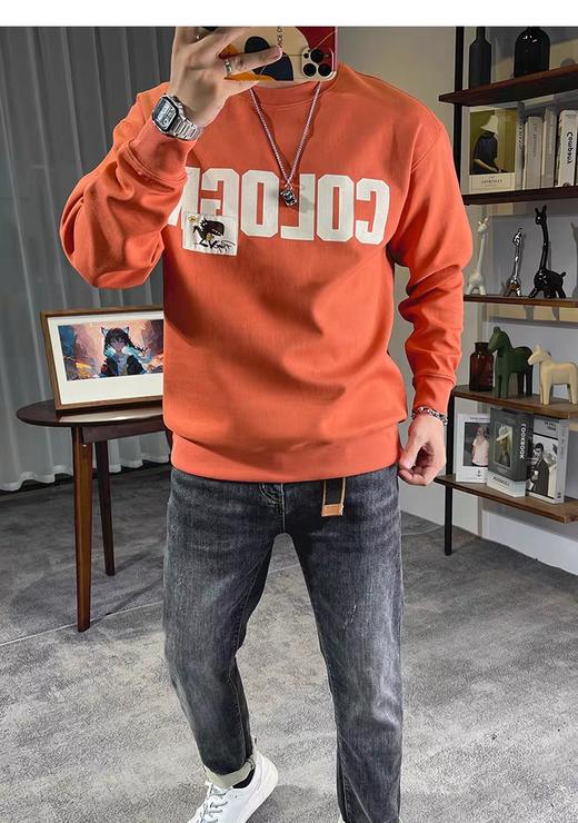 男圆领卫衣7950 商品图5