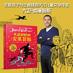 大盗奶奶的完美冒险 大卫·威廉姆斯 著  儿童文学