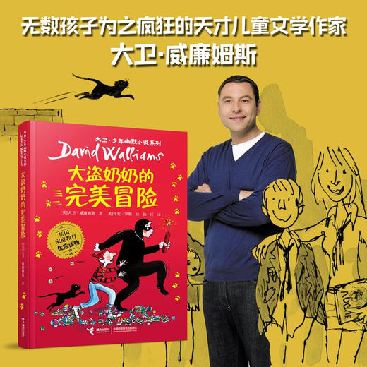 大盗奶奶的完美冒险 大卫·威廉姆斯 著  儿童文学 商品图0