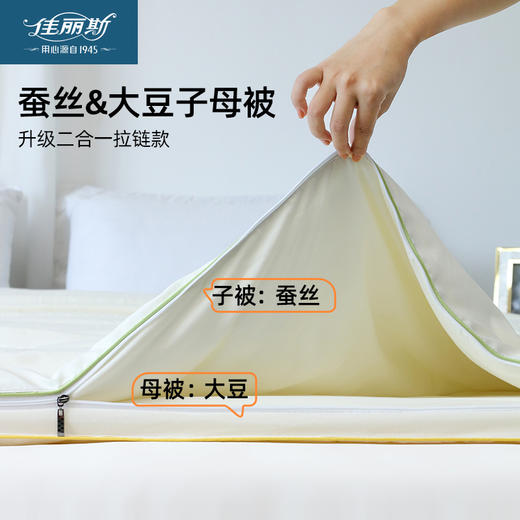 佳丽斯二合一蚕丝大豆子母被加厚保暖被芯四季通用 商品图0