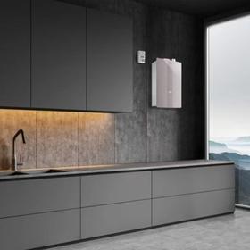 史密斯/燃气热水器/JSQ31-ESCAi