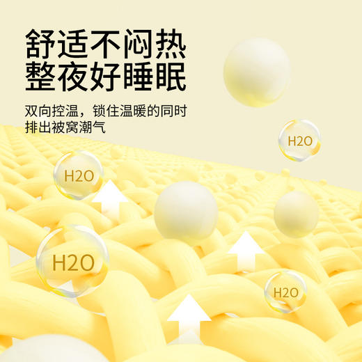 佳丽斯二合一蚕丝大豆子母被加厚保暖被芯四季通用 商品图5