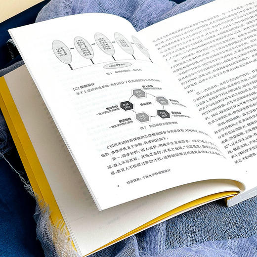 特需课程 个性化学科课程设计 课程育人新坐标丛书 小学案例 商品图8