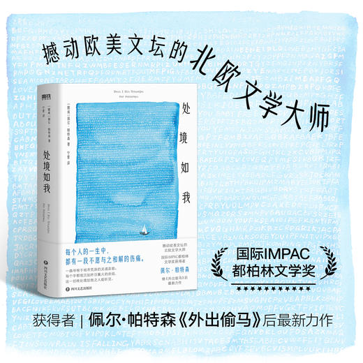 《处境如我》（充满北欧的寂静与冷冽，三百页描述孤独灵魂一个昼夜的所思所想。每个人的一生中都有一段不愿与之和解的伤痛） 商品图0